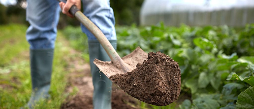 Shoveling Dirt in Garden