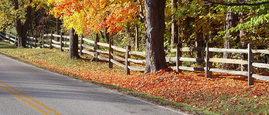 Split Rail Wood Fence